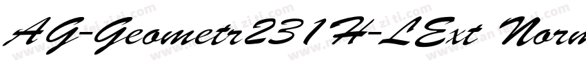 AG-Geometr231H-LExt Normal Regular字体转换